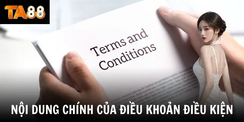 Nội dung chính của điều khoản điều kiện